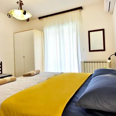 Charming Tulip On The Sea