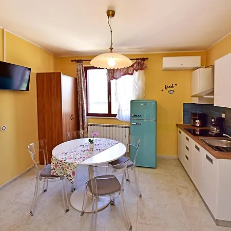 Charming Tulip On The Sea *